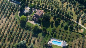Vista aérea de una propiedad con una casa grande, piscina y olivares circundantes.