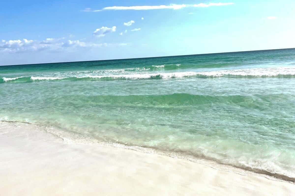 在海灘 附近