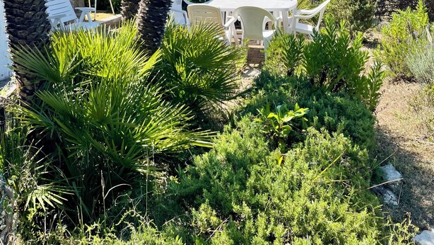 Edificio de piedra con un patio amueblado con sillas y mesa blancas, rodeado de palmeras y arbustos.