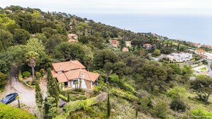 Una propiedad en una ladera con una casa de techo rojo, rodeada de abundante vegetación y vistas al mar.