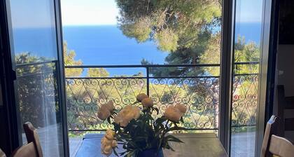 Villa Lilli with magnificent sea view 10 minutes from the beach