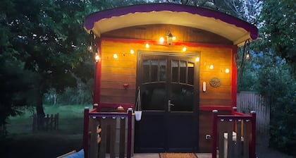 Caravan in DrÎme Provençale in the middle of a private garden