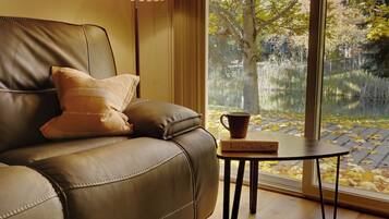 Ălytelevisio, takka, kirjoja