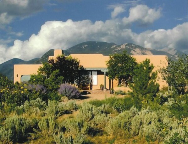 A modern house with a flat roof, surrounded by a garden with various plants and a mountain in the background. - Sweeping panoramic mountain views, expansive adobe privacy wall system (Arroyo Seco)