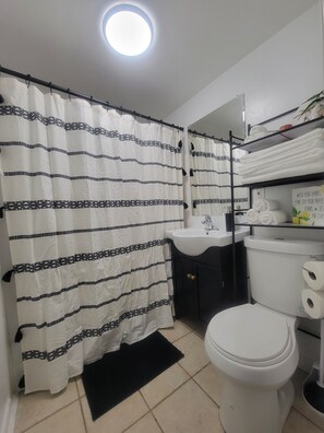 Combined shower/bathtub, hair dryer, towels, soap - Beautiful Newly Renovated Basement Apartment (Ogden)