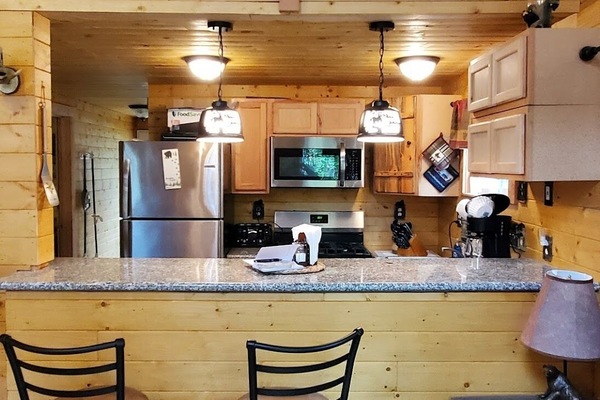 Frigorífico, microondas, horno y placa de cocina