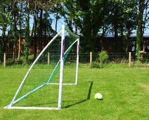 Guests can enjoy a game of soccer in the field with a goal post and net.