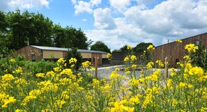 Surrounded by a field of vibrant flowers, this charming building offers a serene escape.