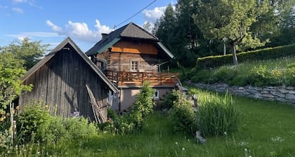 Andi's mountain hut at 1000m above sea level, swimming at Lake Goggausee, Ski Hochrindl, Flattnitz