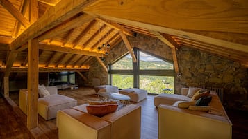 TV, fireplace, table football, books