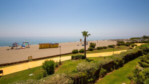 A beach with a clear sky, a palm tree, and a well-maintained lawn.