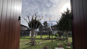 A view from a room with wooden walls through an open door, looking out to a backyard with a grassy lawn, trees, and a purple pot on a table. - Mi-Re-La House in the vicinity of historic Villa Manin - Codroipo (CODROIPO)