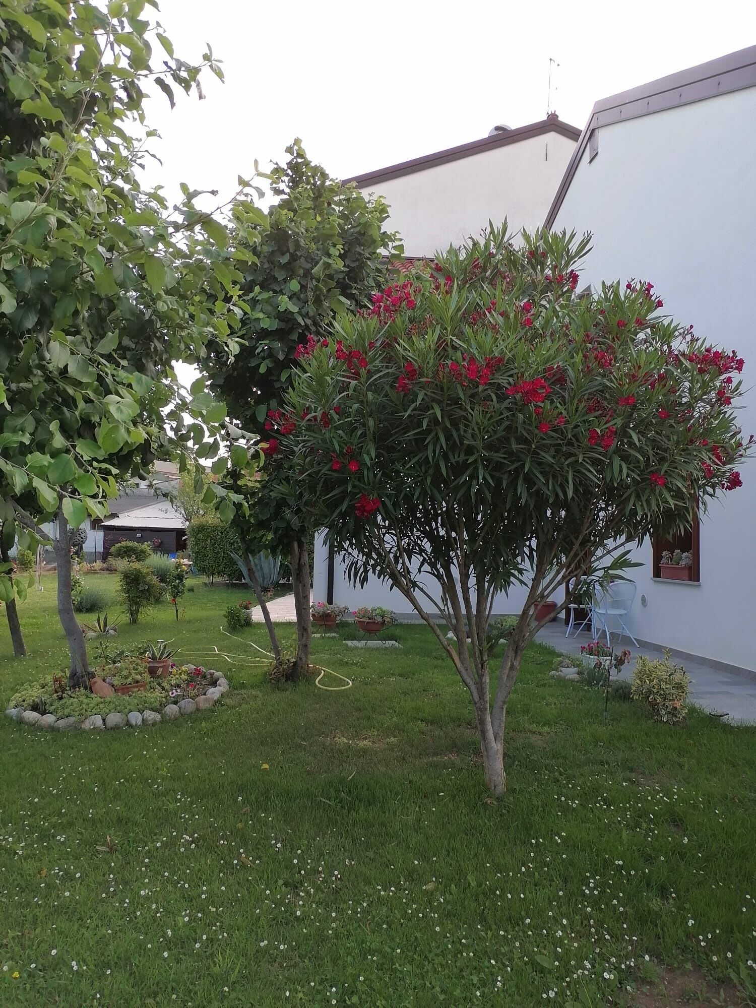 Parco della struttura