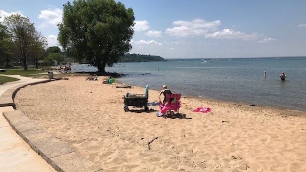 A sandy beach with a large tree, a stroller, and a few people. - Luxury Apartment in Private Home. Private Entrance. Close to Horse Show, Beaches (Williamsburg)
