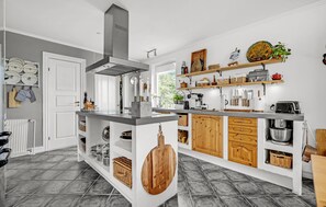 Fridge, stovetop, dishwasher, coffee/tea maker