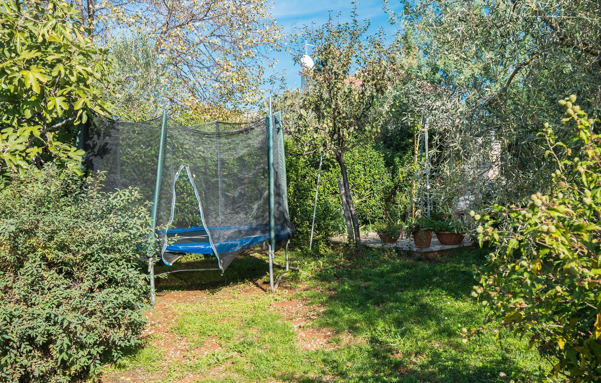 Een tuin met een trampoline, omgeven door een net, en diverse bomen en planten.