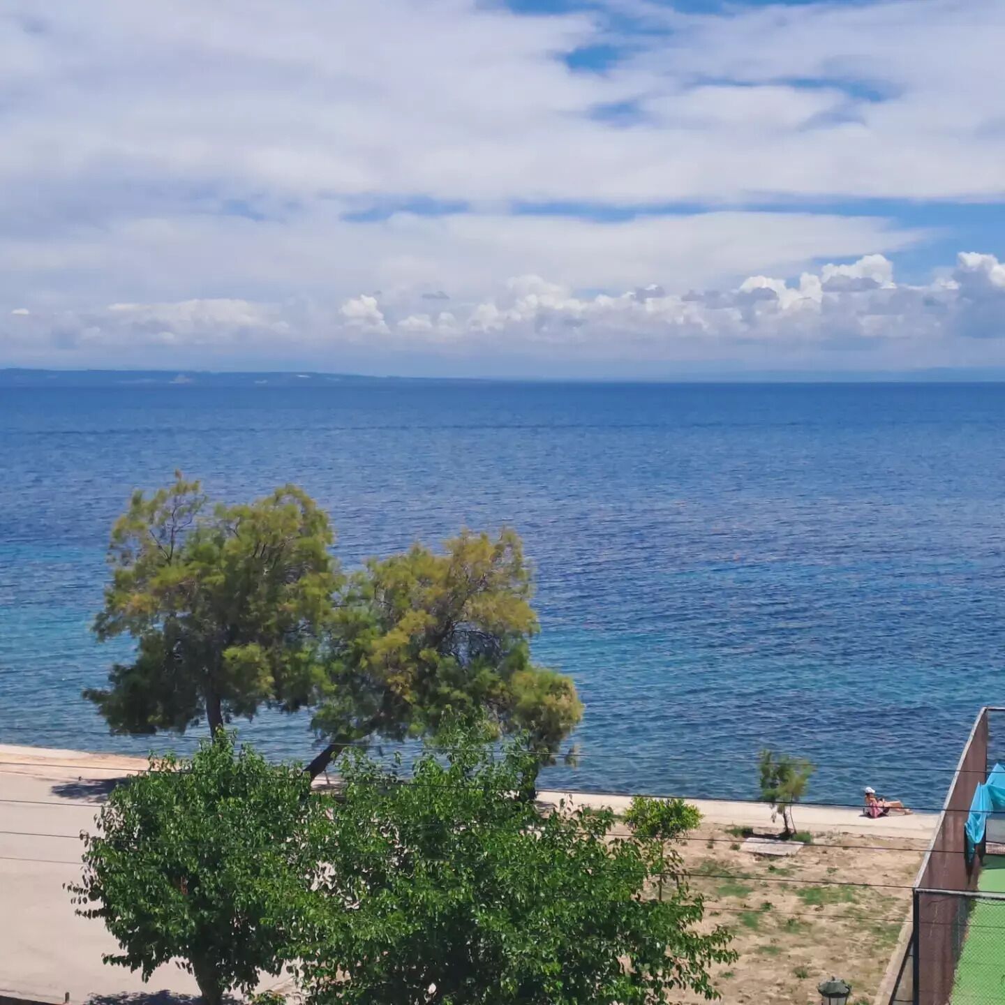 Une vue sur la côte, avec un ciel dégagé, une plage de sable et quelques arbres.
