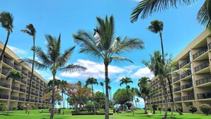 A hotel courtyard with palm trees, green grass, and a clear blue sky. - Spacious Maui Sunset Condo: Steps to BEACH. Pool, Gym, AC & Family Friendly (Kihei)