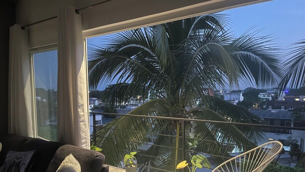 Un balcon avec un canapé, une chaise et des plantes en pot.