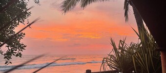 Saladita Beachfront, Pool, Walk to Surf