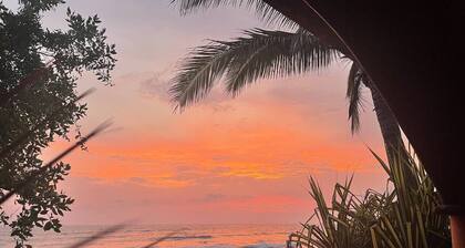 Saladita Beachfront, Pool, Walk to Surf