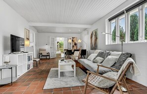 Smart-TV, Kamin