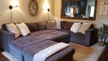 Smart TV, fireplace, DVD player, books