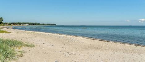 Beach nearby, fishing