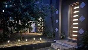 Un espacio exterior bien iluminado con un sendero que lleva a la entrada de un edificio, rodeado de plantas e iluminación decorativa.