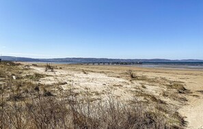 بالقرب من الشاطئ