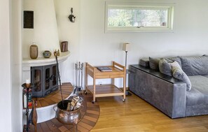 تلفزيون، مدفأة