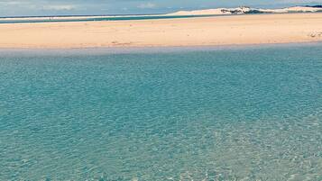 Una playa con agua turquesa cristalina y una orilla arenosa.