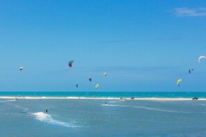 Une plage avec un ciel dégagé et de nombreux cerfs-volants dans les airs.