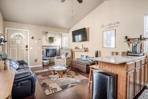 Smart TV, fireplace, books