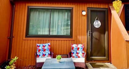 Cozy 2 bed Cabin - Best location in Davis, Thomas, and Canaan! Cold AC