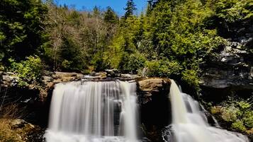 Une cascade d’eau se déversant sur des rochers, le tout étant entouré d’une forêt dense.