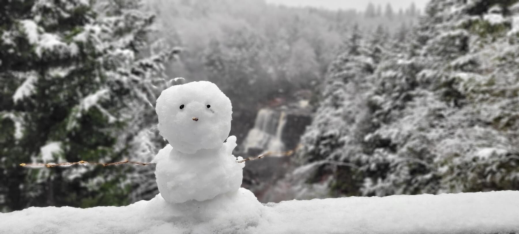 Un muñeco de nieve con una ramita por nariz y brazos, sobre un fondo de bosque nevado.
