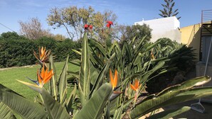 A garden with various plants and a white building in the background. - Rustic Villa with pool near Olhao (Moncarapacho)