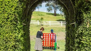 Un sendero que atraviesa un arco de seto verde exuberante, conduciendo a una zona cubierta de césped con una valla blanca al fondo.