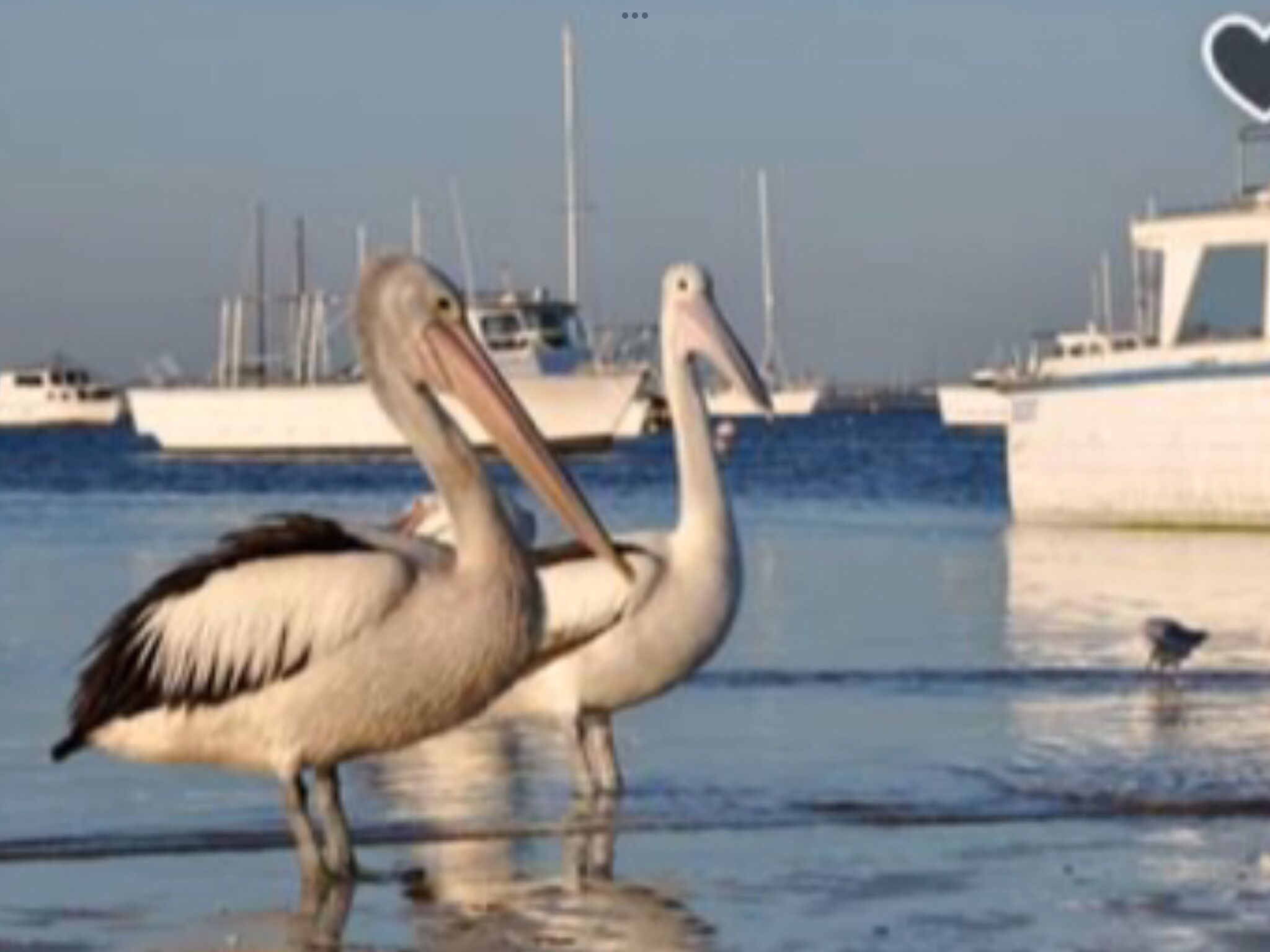 Palm Beach Sanctuary