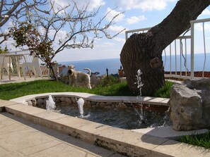 Garden - This Apartment is the Perfect Retreat for a Relaxing Holiday (Dubrovnik)