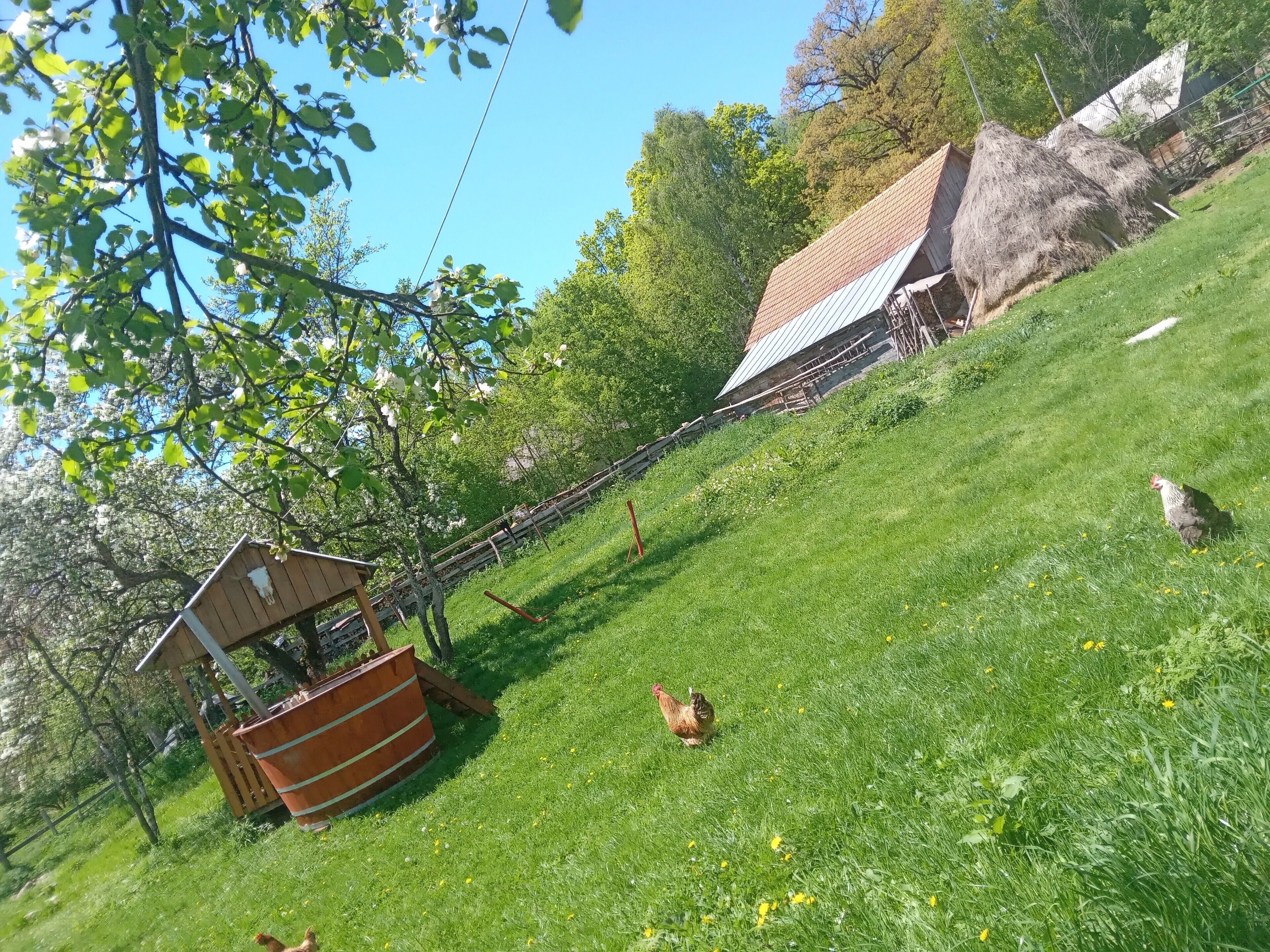 Huone, 1 makuuhuone, tupakointi sallittu, patio | Ulkoalueet