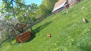 Property grounds - Room in Guest Room - Idylic Family Sejour With Hottube in Green Land (Rosia Montana)