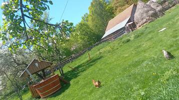 Room, 1 Bedroom, Smoking, Patio | Property grounds