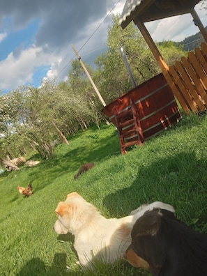 Room, 1 Bedroom, Smoking, Patio | Property grounds