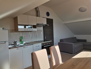 Apartment, 3 Bedrooms, Smoking, Patio | Private kitchen | Fridge, oven, stovetop, freezer