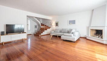 Televisión 55 pulgadas con canales de televisión digitales, chimenea