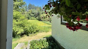 A view through a window with a garden, including a wooden deck and a white wall. - 100 year old Farm Cottage. Minutes from the beach! (Nanaimo)