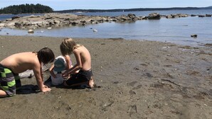 A beach with rocky terrain and calm water. - 100 year old Farm Cottage. Minutes from the beach! (Nanaimo)