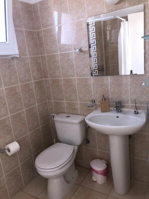 Douche, séchoir à cheveux, serviettes fournies, savon